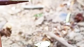 Fffff