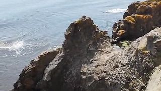 ОСТРОВ СВЕТА АНАСТАСИЯ