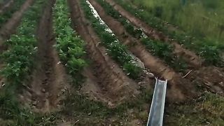 НАЧИНИ ЗА ПОЛИВАНЕ
