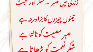 Zindagi mei Sabar Shukar aur Mohabbat. World in focus #SyedAli