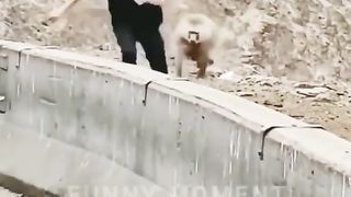 Funny video mix