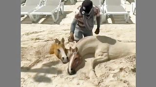 Wah amazing funny video