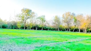 beautiful village life ❤