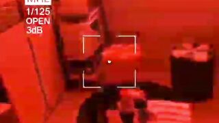 Dog video 3