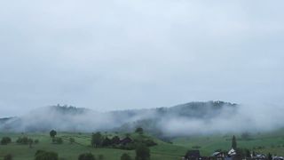 Fogging, Landscape, Forest video