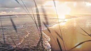 Quotes, Motivational Video