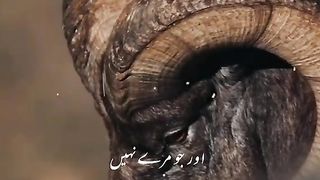 ASTAGHFIRULLAH ???? 6