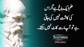 Most beautiful urdu Quotes 18