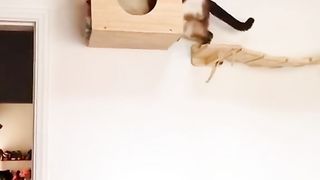 Mission accomplished✅♻️| Diy Woodworking Techniques