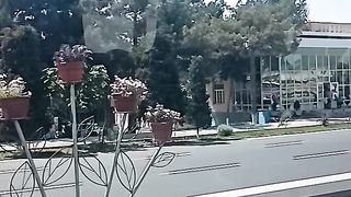 Солнечный день