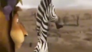 Funny video spot me bhai log 77