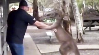 Funny video spot me bhai log 78