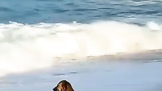 সমুদ্র বিলাস
