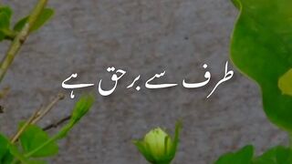 Quran translation motivational videos