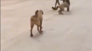 Приколи 113