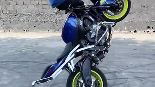 MESTRE GEIDA
