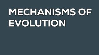 How Evolution works
