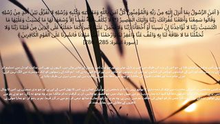 surah Baqarah