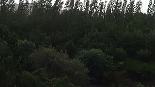 Dojdi