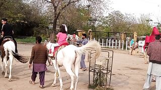 Horse riding https://payup.video/u/205463