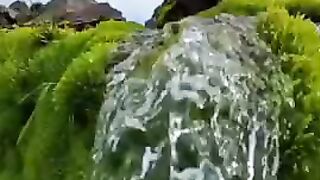 dgdfgdzg