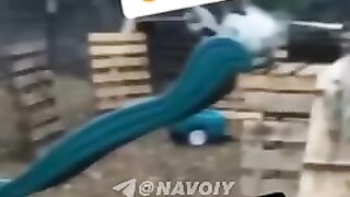 jgdchjdtyjdcy