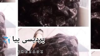 prdesi
