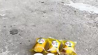 Funny Monkey 4