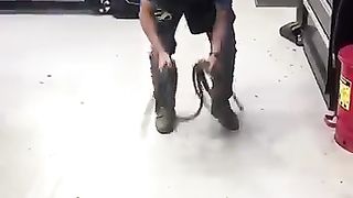 Funny Shorts 3