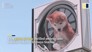 Giant 3D dog leaps across Tokyo billboards