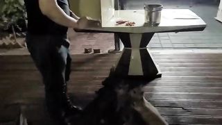 Funny video Hatiko dog