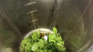 Summer special mint margrita recipe