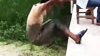 Funny 777