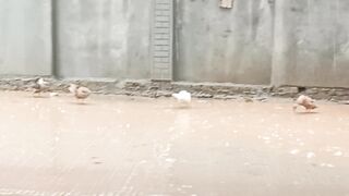 The rainy day was very funny for them.