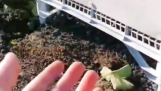 ЗА УСПЕШНА  ГРАДИНА