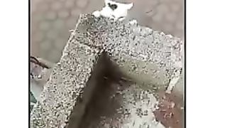 Chat hero