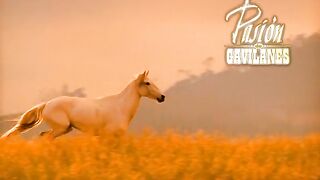 PDG Capítulo 163
