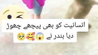 Sabaqe Amoz Veduo Wahwah Mazzaa