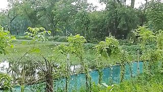 গ্রামীন পরিবেশ