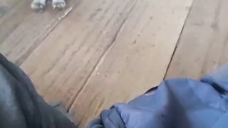 Prank cat funny cat