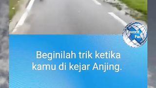 tips and trick
