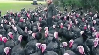 Funny video