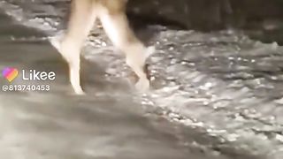 A battle of rabbits