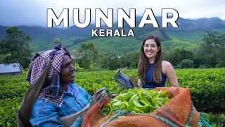 Munnar, Suryanelli Kerala in the Monsoon! The best vlog I've ever made | #WeekendTrips India