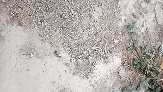МУРАВЬИНЫЕ РАЗБОРКИ