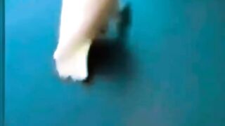 Funny parrots????