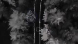 Status video 27