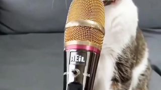 Follow me to see more videos. 5