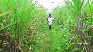 SUGARCANE JUICE | Making Farm Fresh Healthy Juice in Village | Natural Juice | Summer Health Drinks