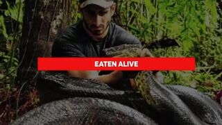 ATTACKED TWICE BY THE SAME SNAKE